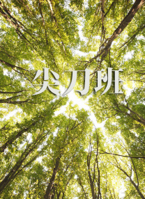 综合久久99